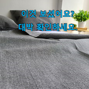  대박난 인견 이불 선택 참 맘에드는군요