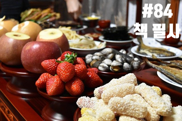 84번째 책 필사 - 평생직장에 사표를 던진 이유 84번째 책 필사 - 평생직장에 사표를 던진 이유