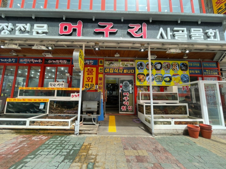  속초 대포항 추천 맛집 24시간 영업하는 머구리횟집(속초)
