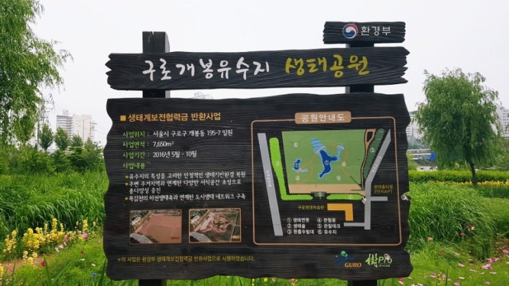 서울 부천 고척 주말 나들이 데이트 가볼말한곳: 구로개봉유수지생태공원(feat.코스모스, 억새)