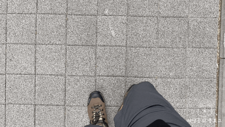  [제주 2일차] 바다만 가던 곰이 당황한 순간