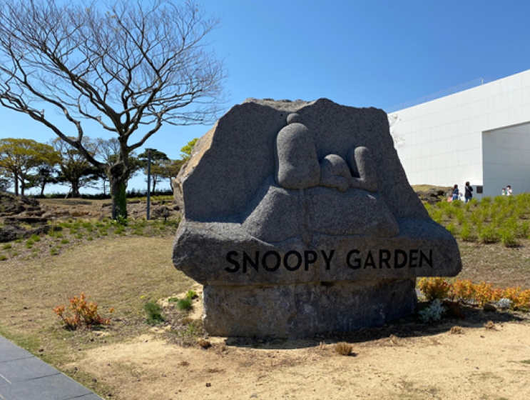  제주도 여행 스누피가든 까페 입장권 할인정보