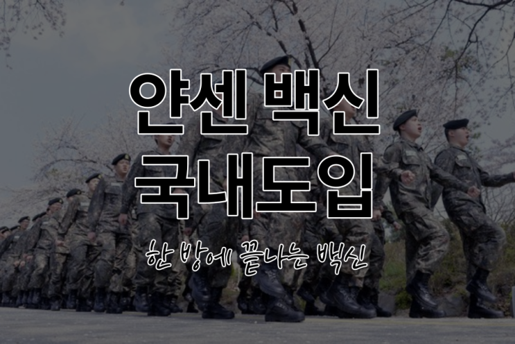  얀센백신 어느나라? 한번 접종 효과, 효능 부작용 사전예약 접종 방법