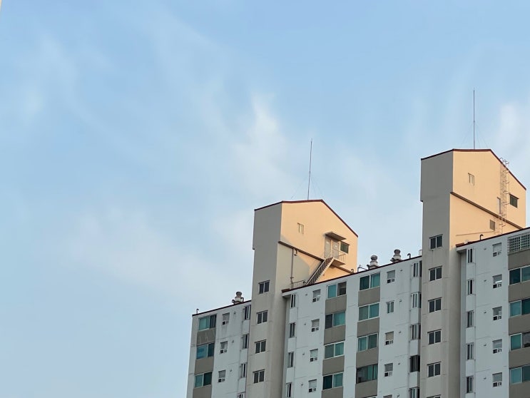  이제 진짜 여름이 오는건가?