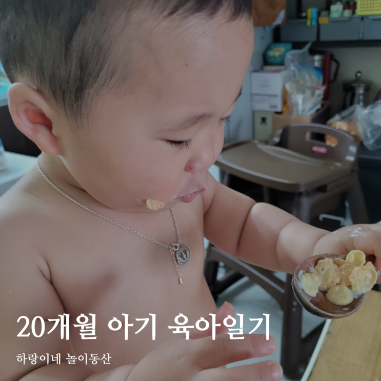  20개월 아기 성장발달 육아기록 / 생후603일 / 이제 못 오를곳이 없다, 엄마가 먹는건 나도, 자동차랑 어디든 함께