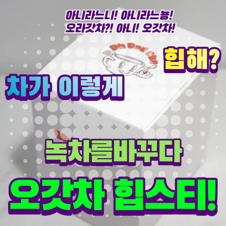  이제는 녹차마저 힙한 시대! 커피대신 3가지 방법으로 즐겨보자 - 오갓차 힙스티! /티백추천/녹차로스팅