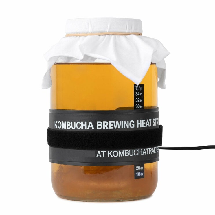 많이 팔린 kitchentoolz Kombucha Brewing Heat Starter Kit 키친툴즈 콤부차 브루잉 히트 스타터키트 4.14lb(1.87kg), 1개, 개 ···