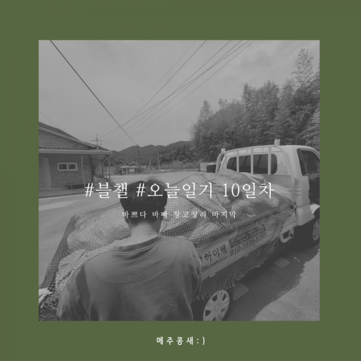  오늘일기 10일차