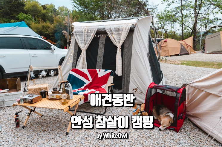  애견동반 가능한 안성 참살이 오토가족캠핑장에서의 하루