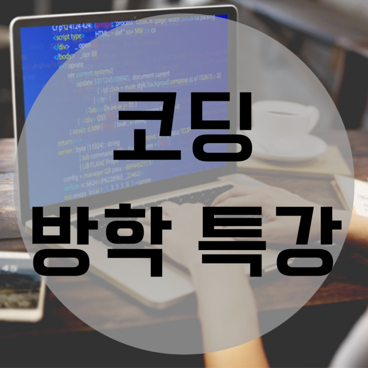  코딩방학특강 1달 1과목 단기 완성 노리자!