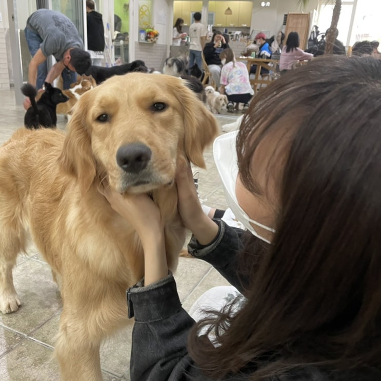  오늘일기 13일차