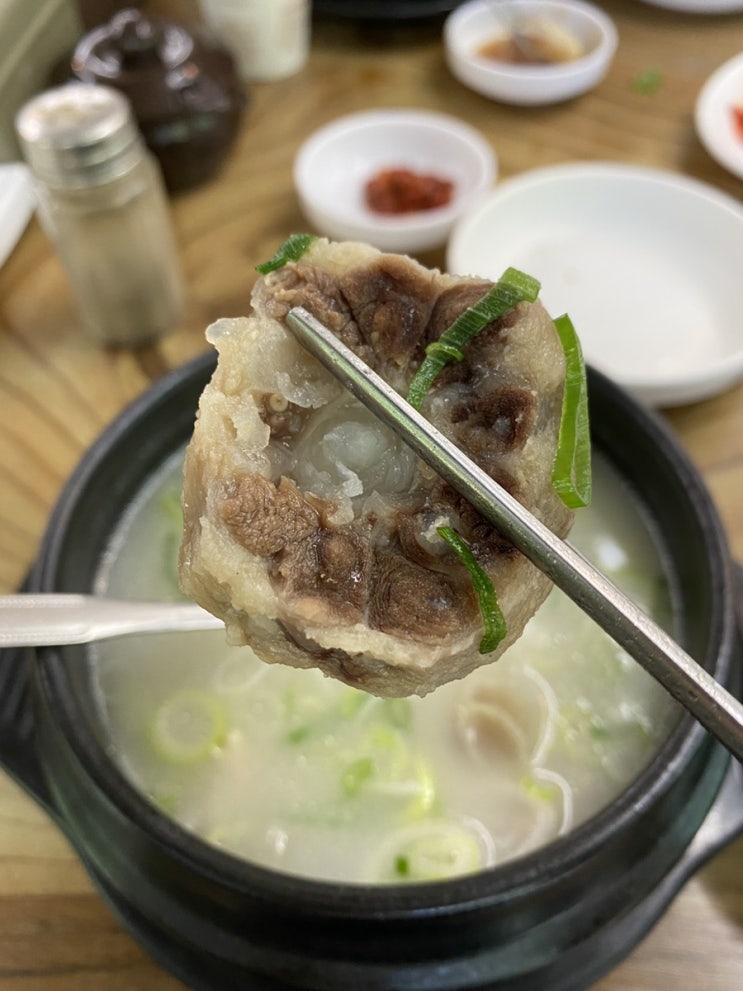 고양시 설렁탕, 대화동 도가니탕 맛집 : 이조가마솥설렁탕