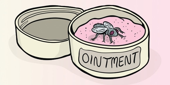 영어 한마디] A fly in the ointment의 뜻 알아보기, 옥에 티를 영어로 하면? : 네이버 블로그