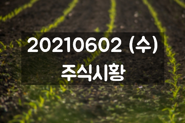  20210602 (수) 주식시황 : 디즈니플러스 LG유플러스 낙점, 디즈니플러스관련주, 정치테마주, 윤석렬관련주 - NE능률, 덕성, 웅진, 서연, 에넥스 등