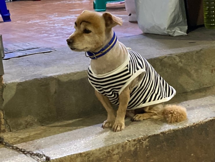  [오늘일기] 부동산 공부 시작, 도서관 근로 신청
