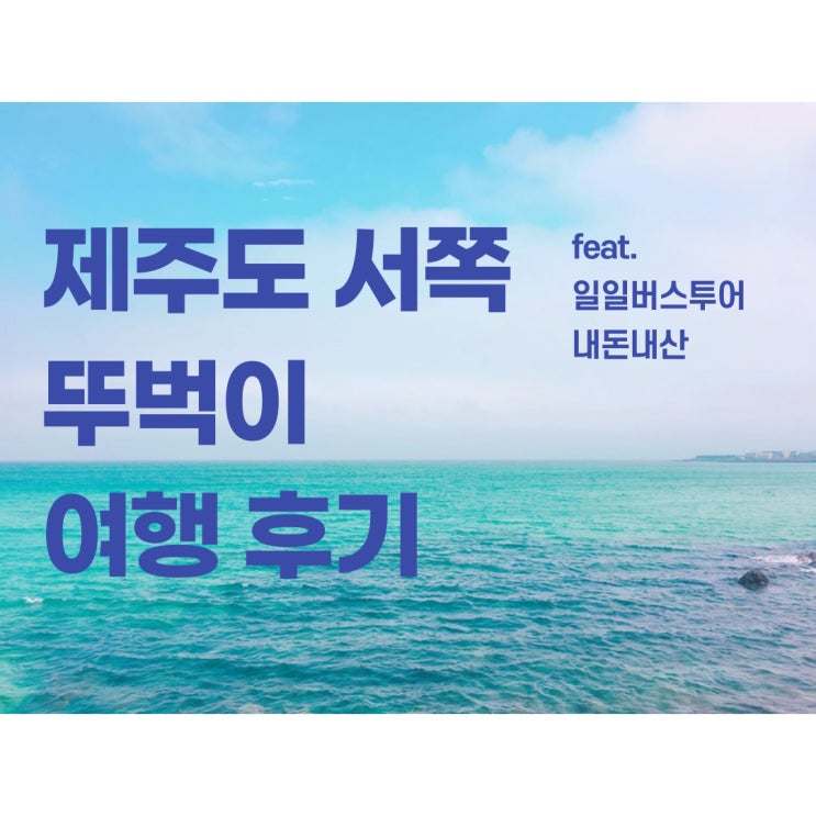  제주도 서부 뚜벅이 여행 | 핫플 버스 투어 후기 (내돈내산)