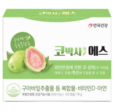  비염 영양제 추천안국건강 코박사에스 영양제