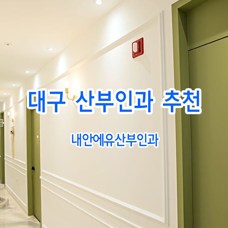 대구 여의사 산부인과 추천 후기 네이버 리뷰 모음
