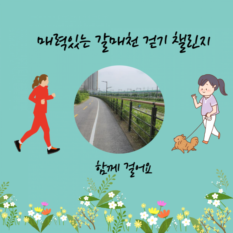  6월 걷기 챌린지