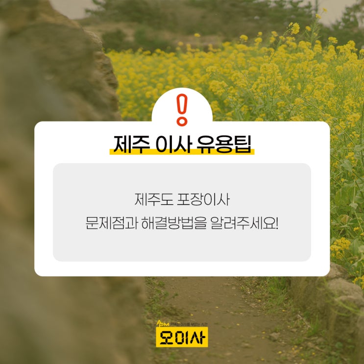  1박2일? 제주도 포장이사 문제점에 대해 알아보자! (feat 해결방법)