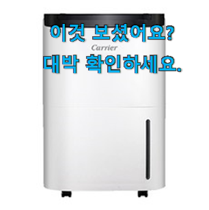  퀄리티 좋은 캐리어 클라윈드 제습기 굿템 신뢰가 가네요
