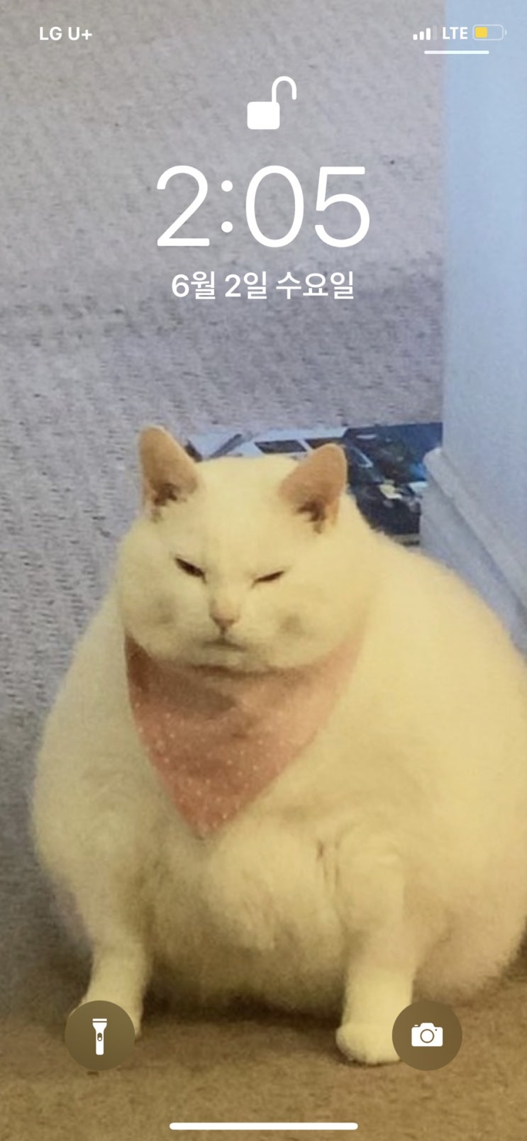  6.2