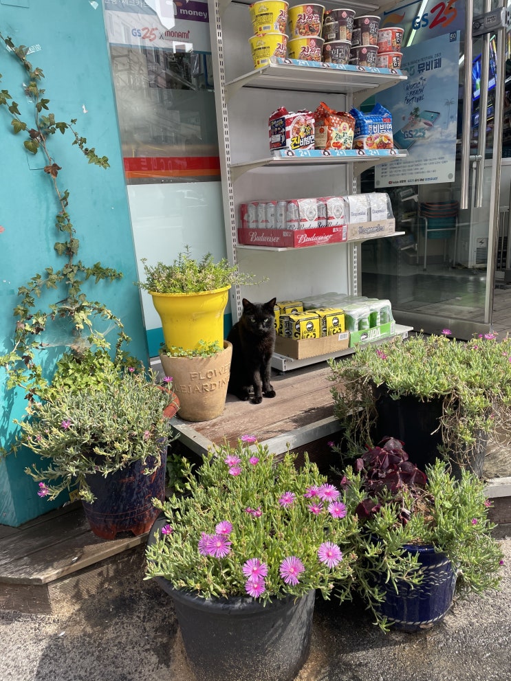  #열닷새(보름)