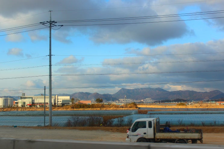  남동생과 다녀온 내일로 여행(대구/부산/해남/전주)
