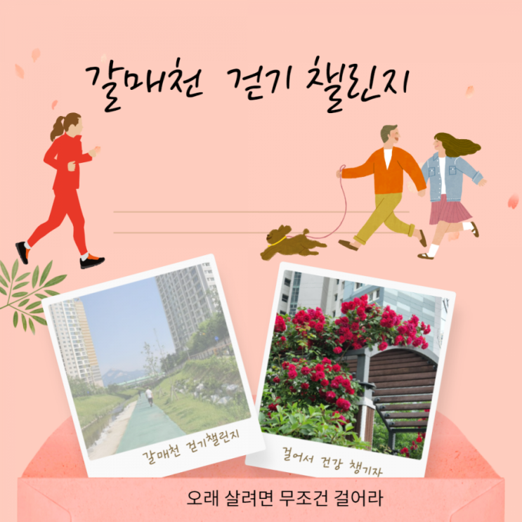  걷기챌린지 2일째
