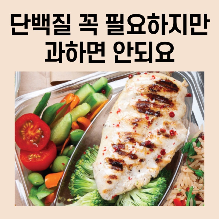  단백질 섭취량 protein 쉐이크 다이어트 보충제 프로틴 단백질 많은 음식 과다섭취 부작용