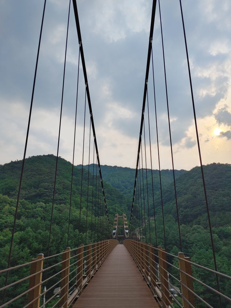 출렁다리 출렁다리
