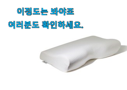 품절주의 라텍스 메모리폼베개 아이템 이건 사야합니다 품절주의 라텍스 메모리폼베개 아이템 이건 사야합니다