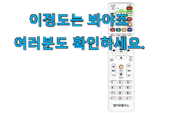 혜자템 셋탑 박스 리모컨 진짜추천 꼭 써보세요 혜자템 셋탑 박스 리모컨 진짜추천 꼭 써보세요