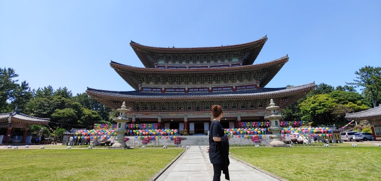  제주 서귀포 올레8코스 와이프와 약천사 데이트