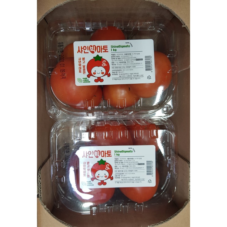최근 많이 팔린 차칸유통 고당도 저칼로리 단맛의 끝판왕 스테비아토마토 샤인빅마토 토망고 1Kg 2Kg, 샤인빅마토(토망고) 2Kg 추천해요 최근 많이 팔린 차칸유통 고당도 저칼로리 단맛의 끝판왕 스테비아토마토 샤인빅마토 토망고 1Kg 2Kg, 샤인빅마토(토망고) 2Kg 추천해요