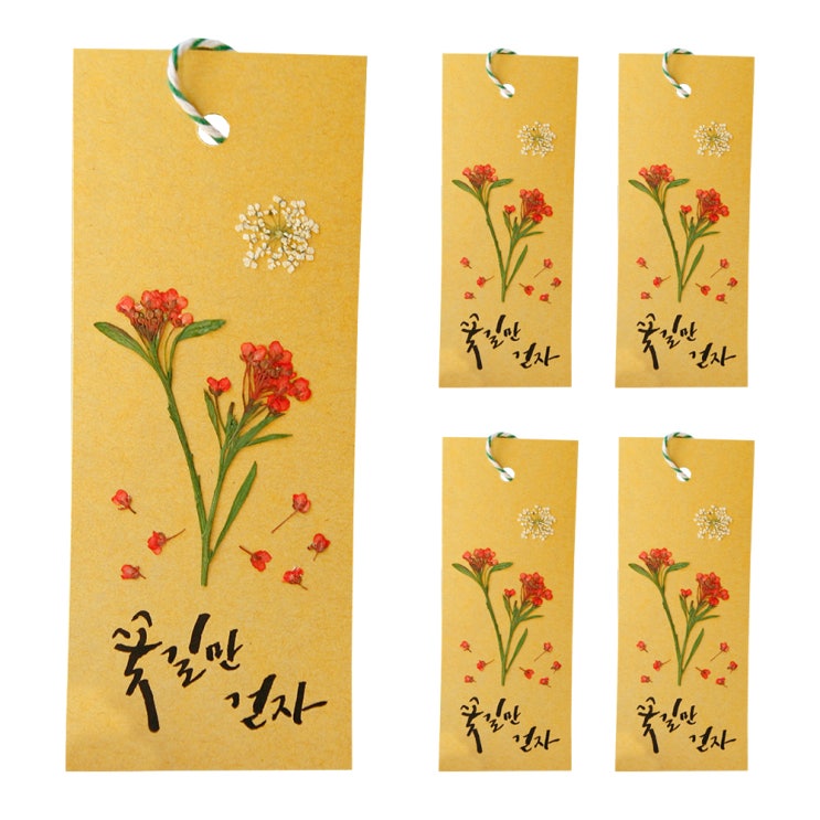가성비갑 압화 책갈피만들기 DIY 5p 세트, 알리슘 + 레이스플라워, 2세트 ··· 가성비갑 압화 책갈피만들기 DIY 5p 세트, 알리슘 + 레이스플라워, 2세트 ···