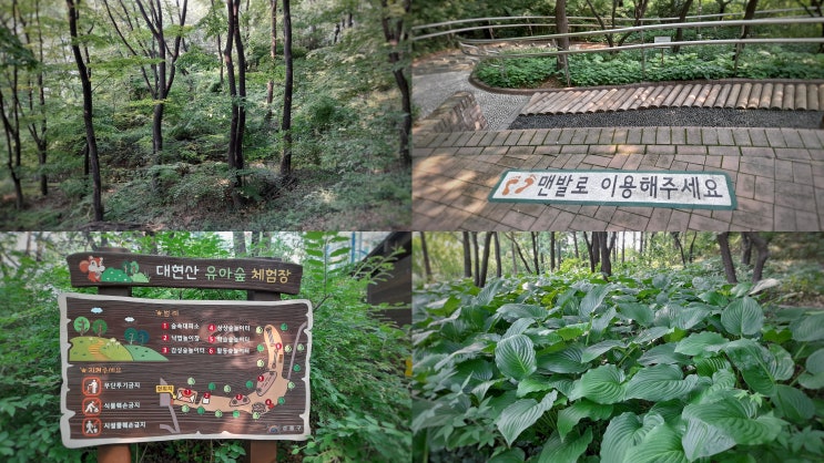  성동구 아이들하고 가볼만한 대현산 공원