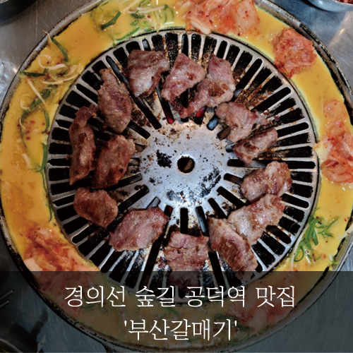  [미래신용정보 미래서포터즈] 경의선 숲길 공덕역 맛집  '부산갈매기'