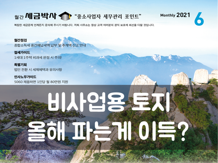  비사업용 토지 올해 파는게 이득?