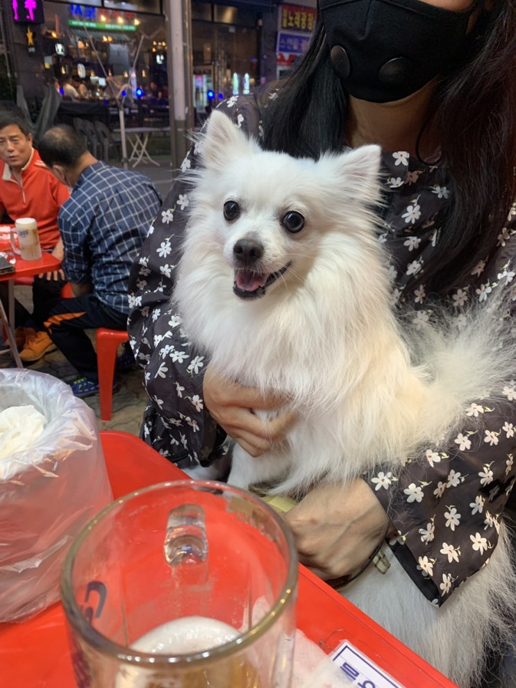  공개하는 일상
