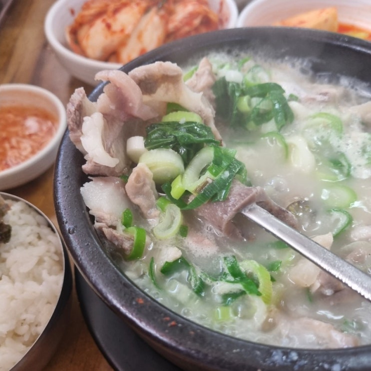  [서울 동작구] 서일순대국 본점 : 수요미식회 나온, 보라매역 순댓국 맛집