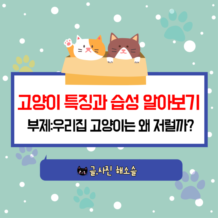  고양이 특징과 습성 알아보기 (부제:우리집 고양이는 왜 저럴까?)
