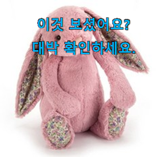  최후의 선택 젤리캣 애착인형 꿀템 소소한 행복 ㅎㅎ..