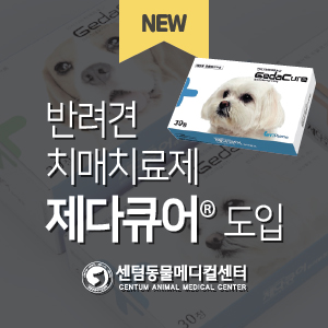  반려견 인지기능장애증후군(CDS) 치료제 ‘제다큐어’ 도입 (부산 동물병원 수영 센텀동물메디컬센터, 강아지 치매)