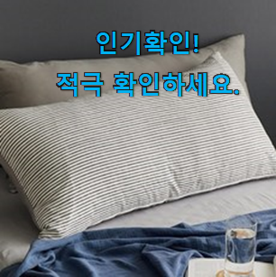  인생템 등 쿠션커버 100×50 추천상품목록 후회 안할겁니다 ㅎㅎ