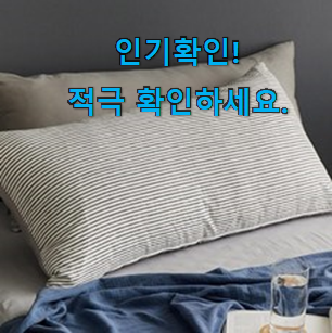 인생템 등 쿠션커버 100×50 추천상품목록 후회 안할겁니다 ㅎㅎ