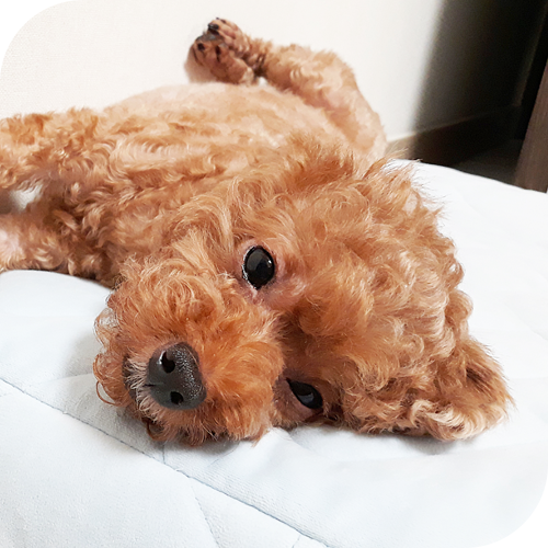  여름에 잘자는법 간단해요