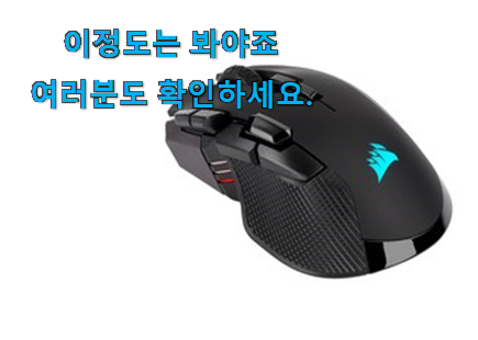 나만알고싶은 커세어 마우스 목록 초이스!.