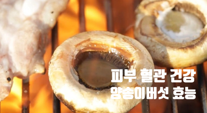  피부 혈관 건강 양송이버섯 효능 (ft. 고르는 법 손질법 보관 방법) 통째로 익혀드세요.