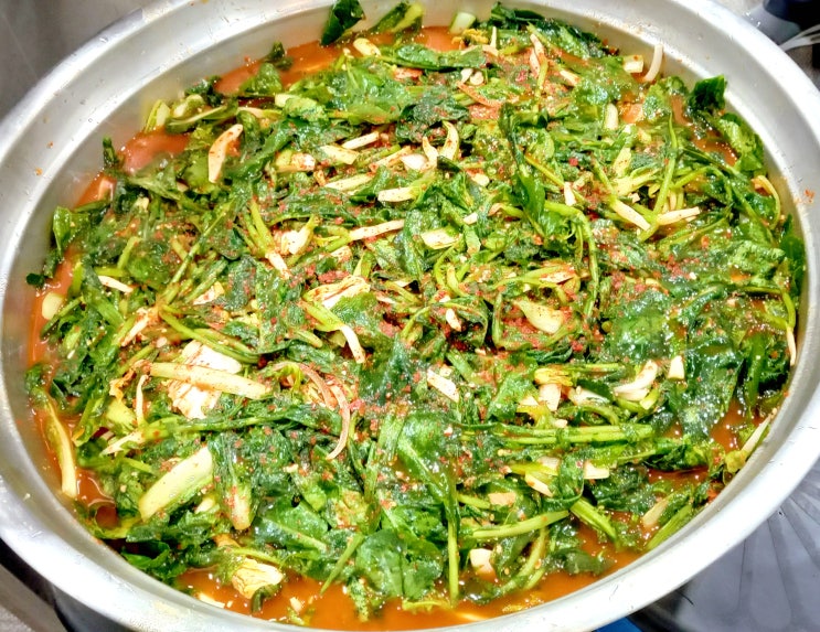  수원요리학원/반찬조리전문가과정 수강중!/6월 1일차 수업/ 열무김치